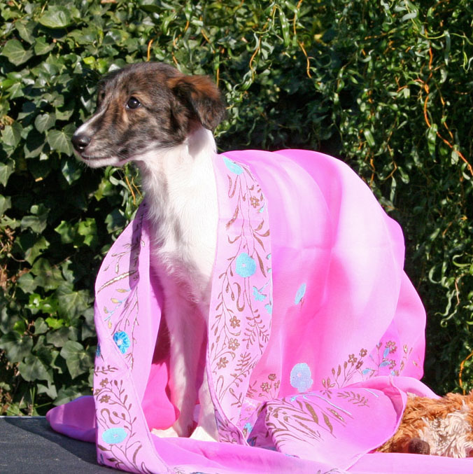 Surf Spots - Girl 1 Sarong